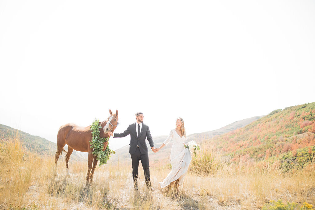 bridals-with-horse