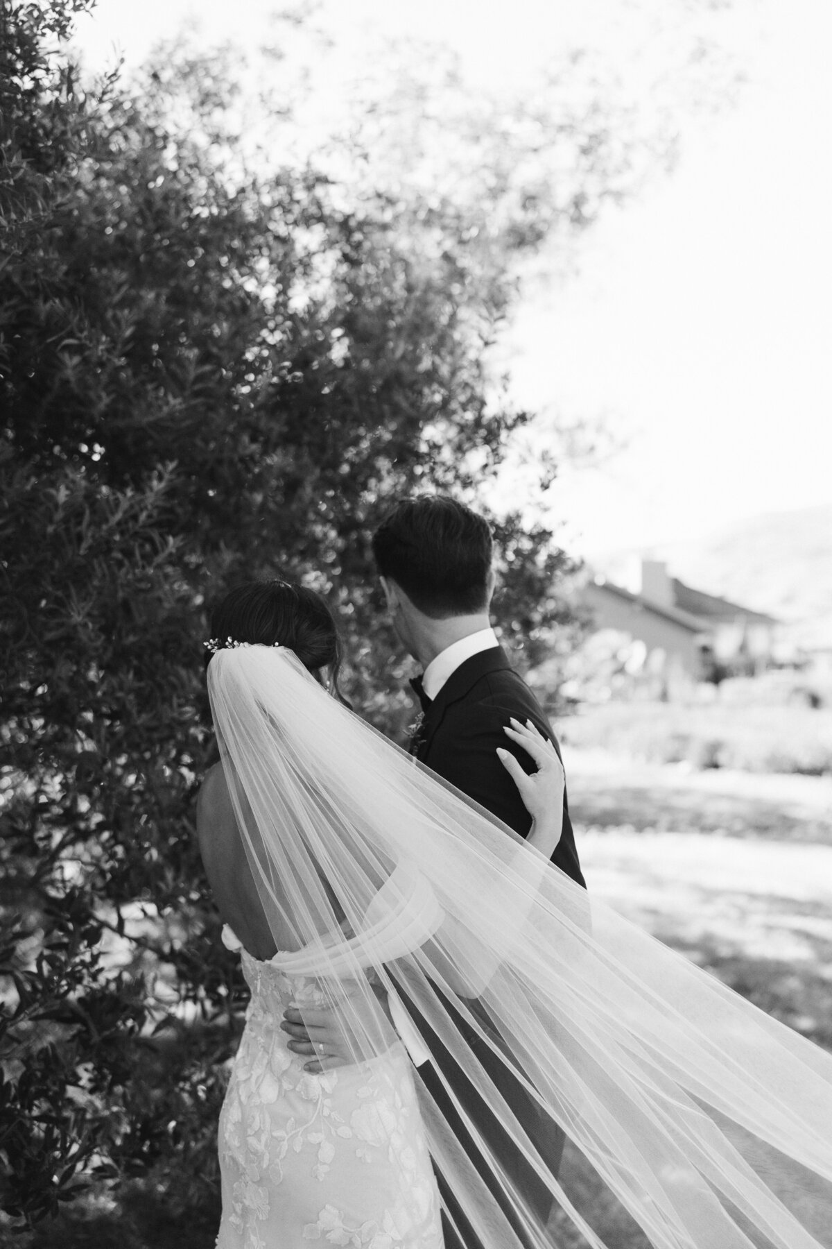 Intimate Wine Country Wedding in Sonoma, California