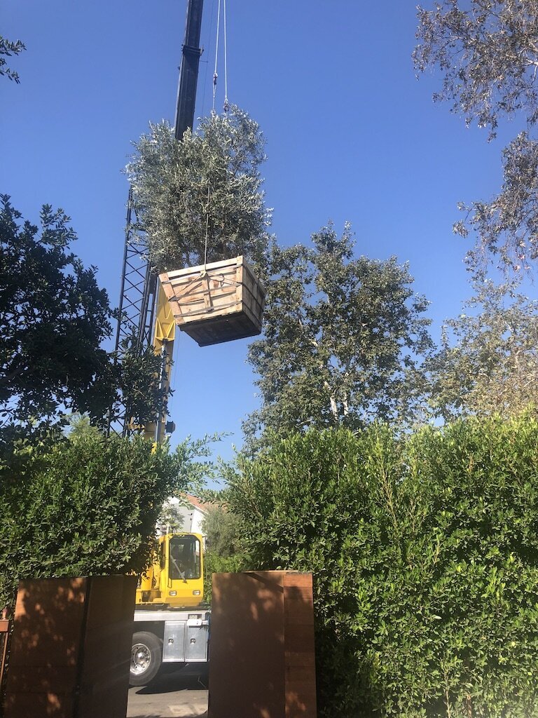 2F4637D1-B28F-4954-AEF0-6ABCC9C6D9B3_1_105_c