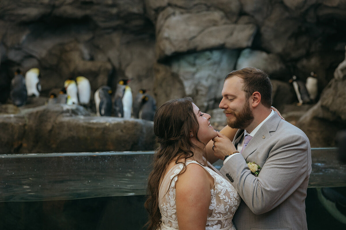 Calgary wedding photographer, Calgary Zoo wedding
