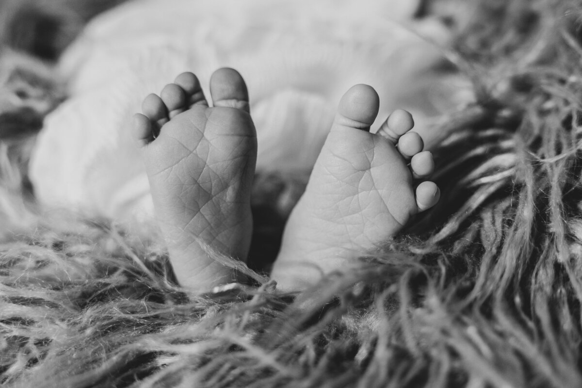 black-and-white-newborn- feet