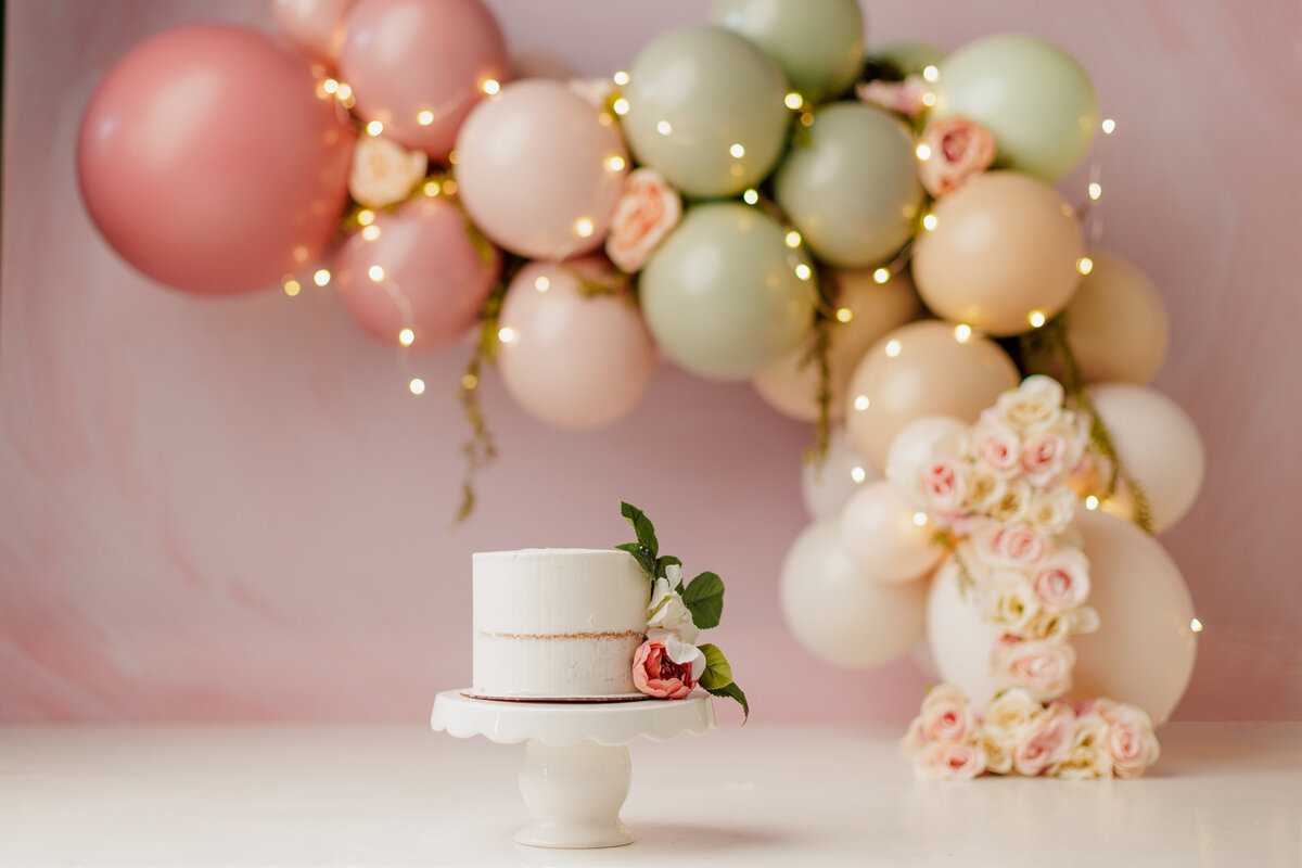 Huntsville AL Best Cake Smash First Birthday Photographer Studio