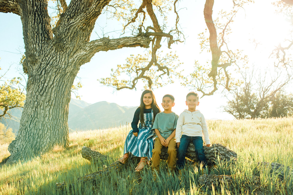 Family Portrait Photo Of Three Children Sitting In a Wood Los Angeles