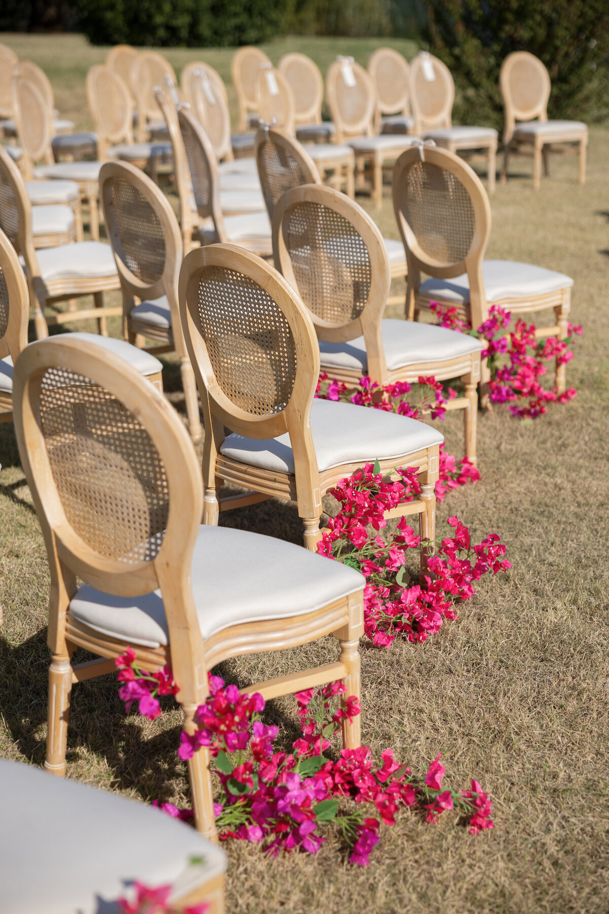 MKWed-539