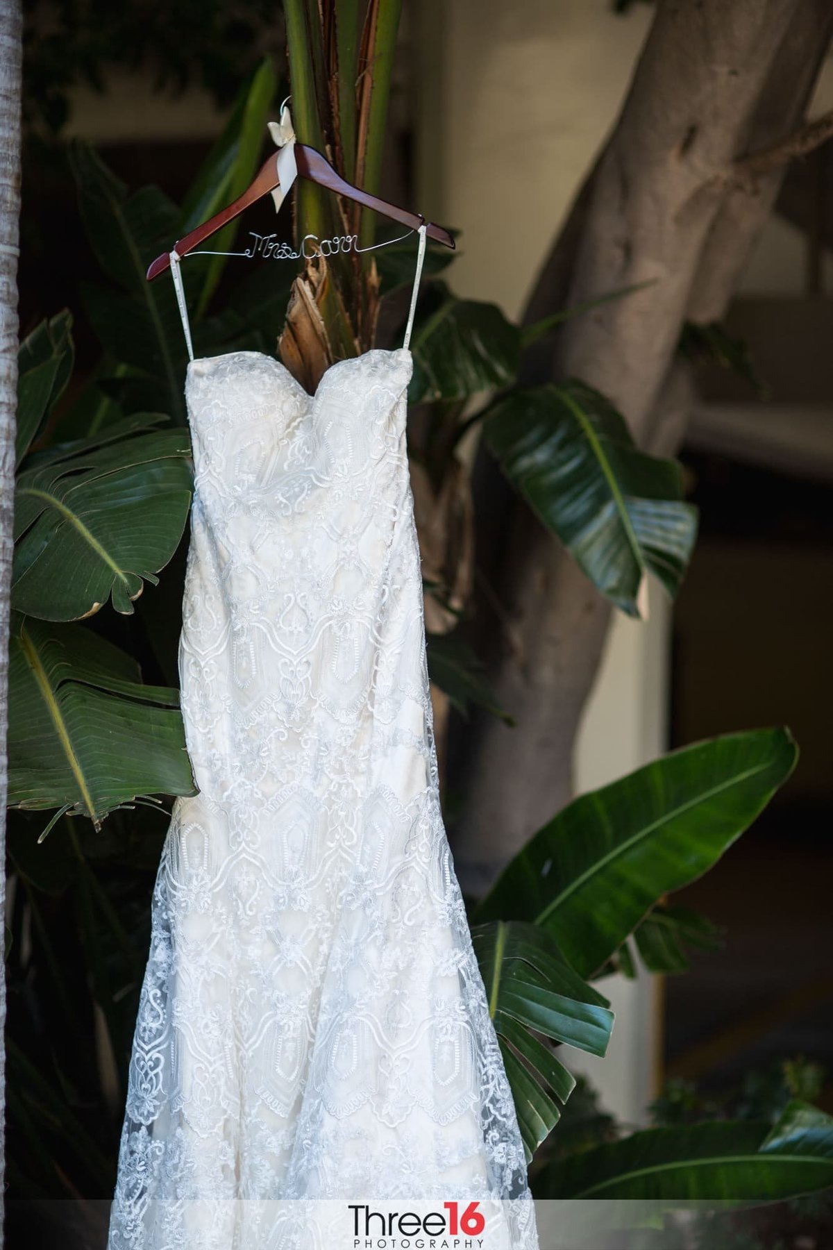Brides gown hangs from a tree on display