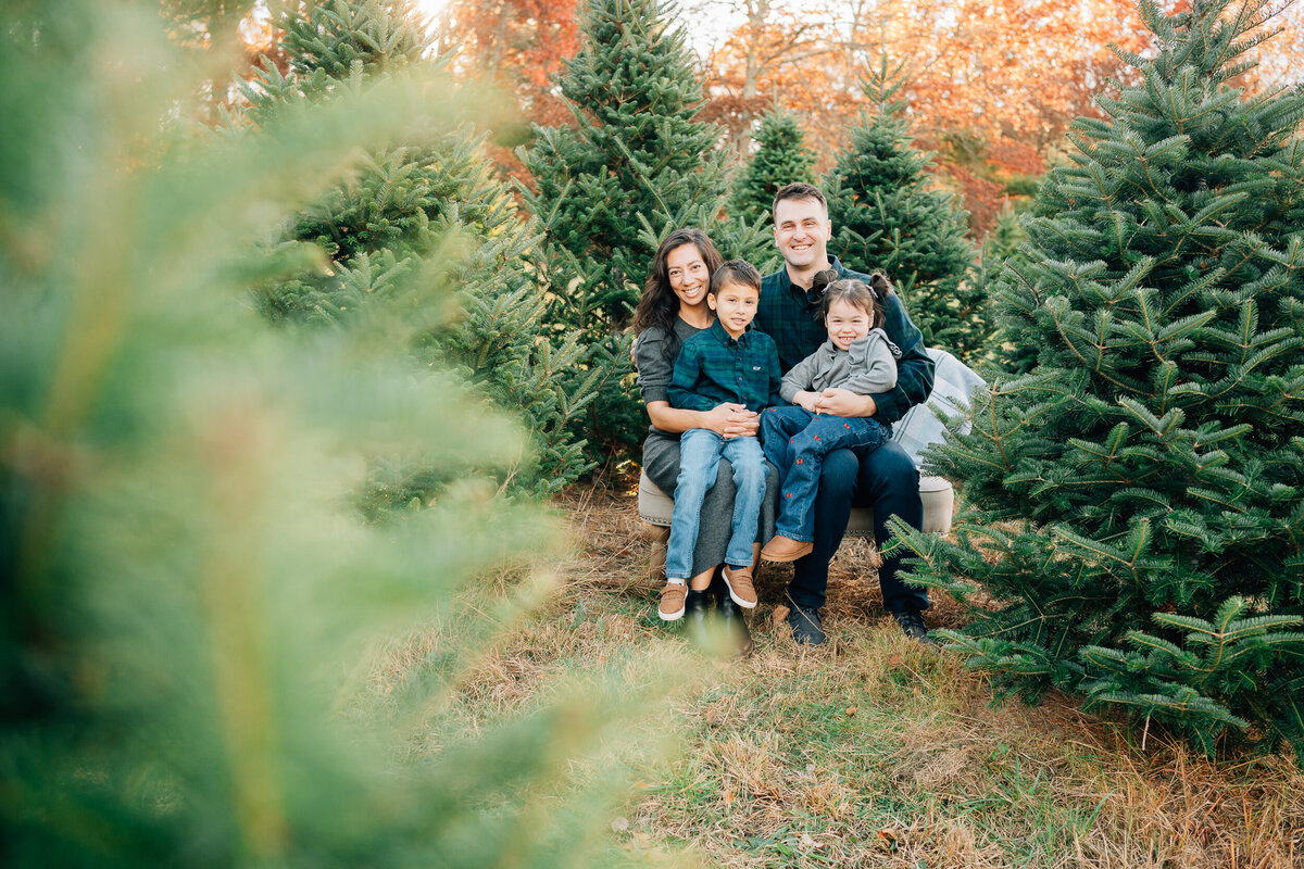 Christmas Tree Farm Mini Sessions | Connecticut Family Photographer-4