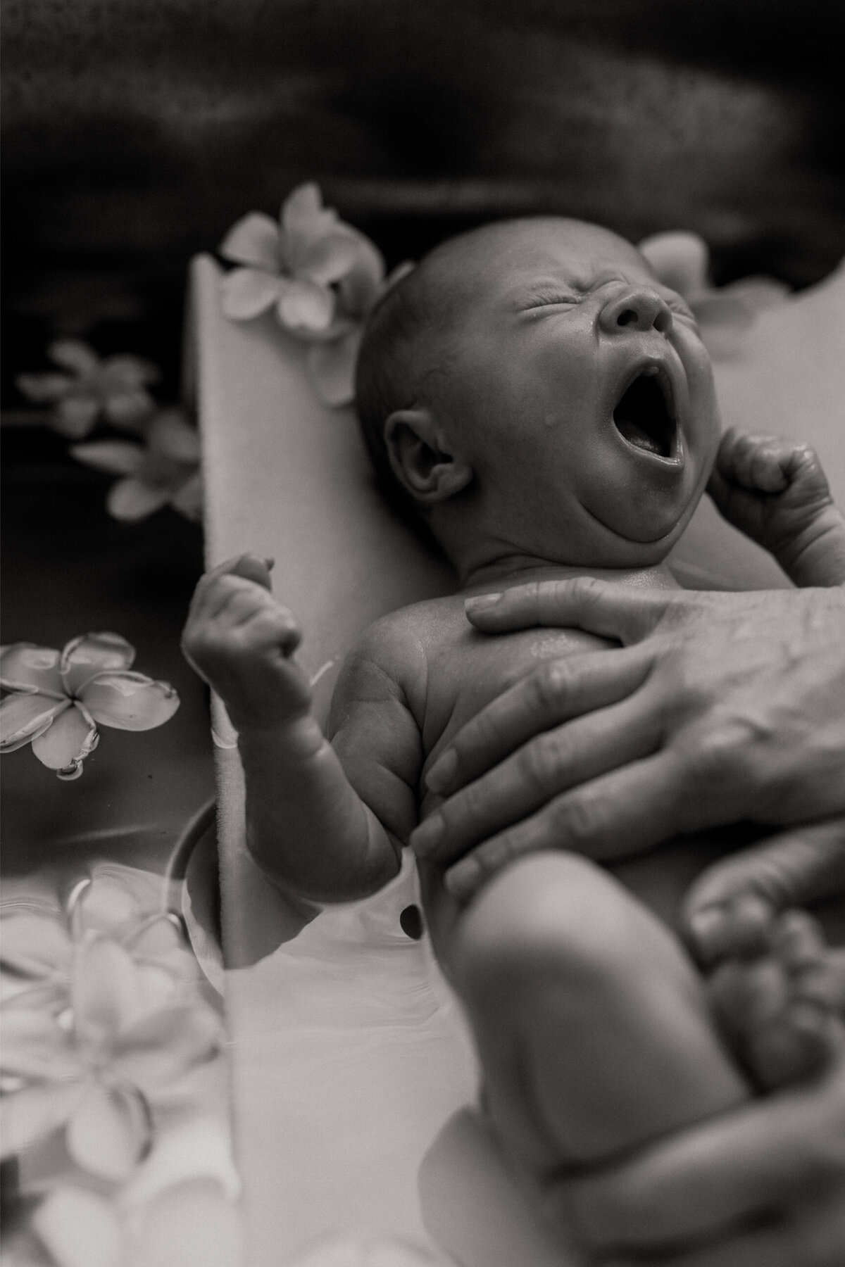 the-lifestyle-phodographer-perth-family-pet-photographer-maternity-newborn00007