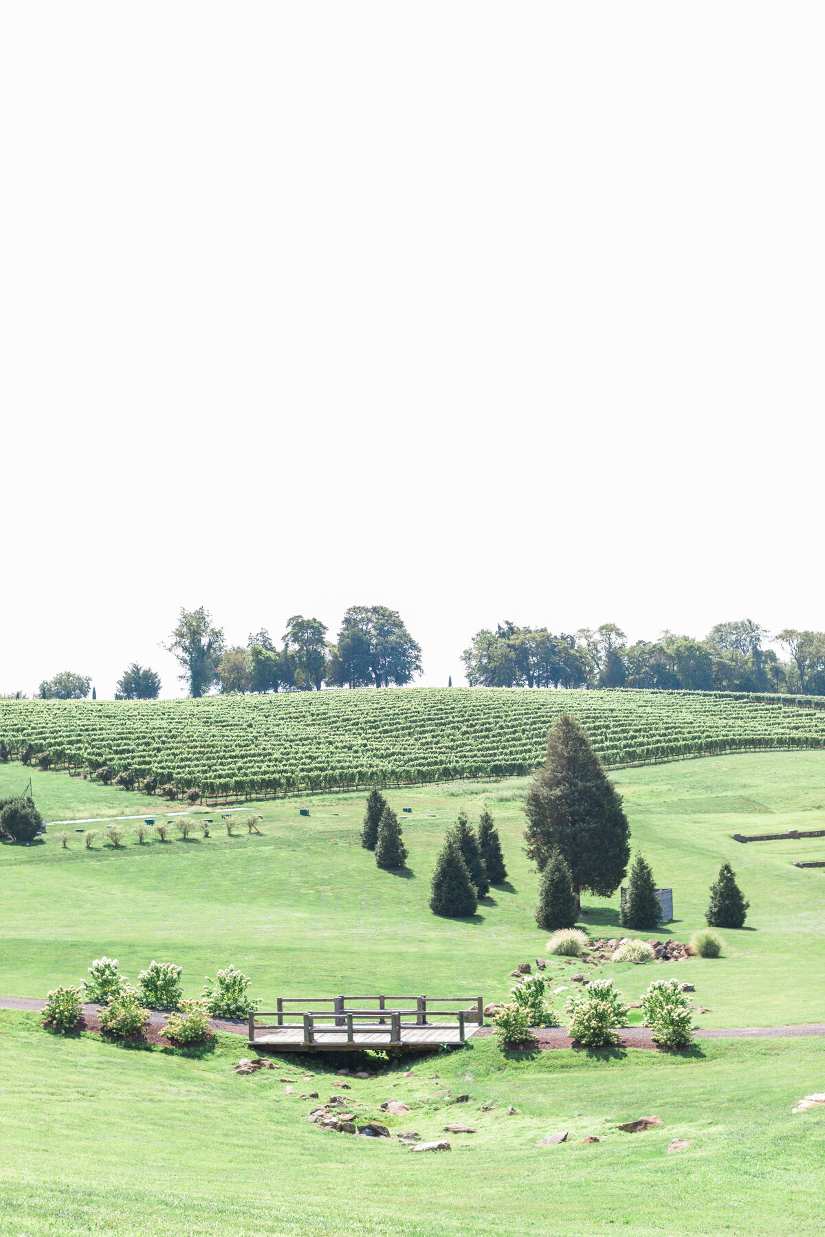 Stone Tower Winery Wedding