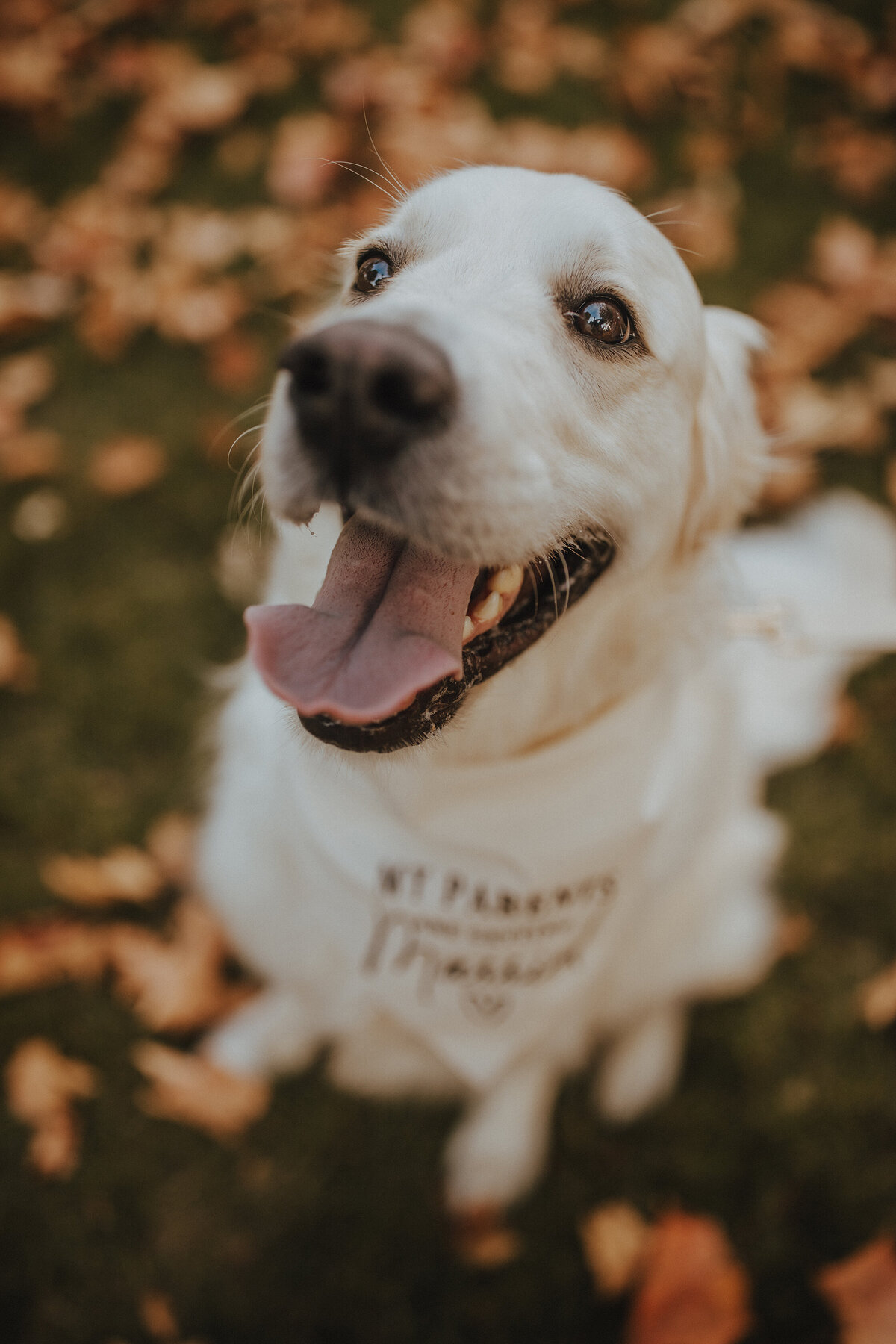 BAP25-CayciJacob-Engagement-129