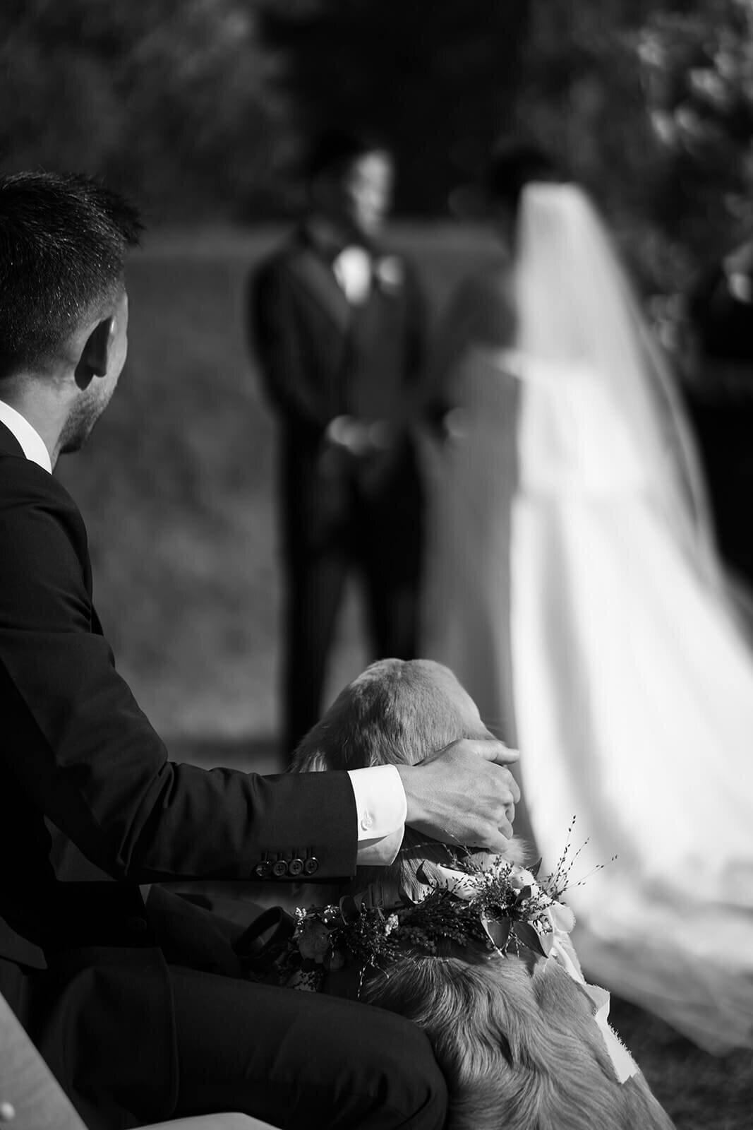 The bride and groom's golden retriever wearing a floral collar looking on as the bride and groom share vows at their Aspen Meadows Resort wedding.