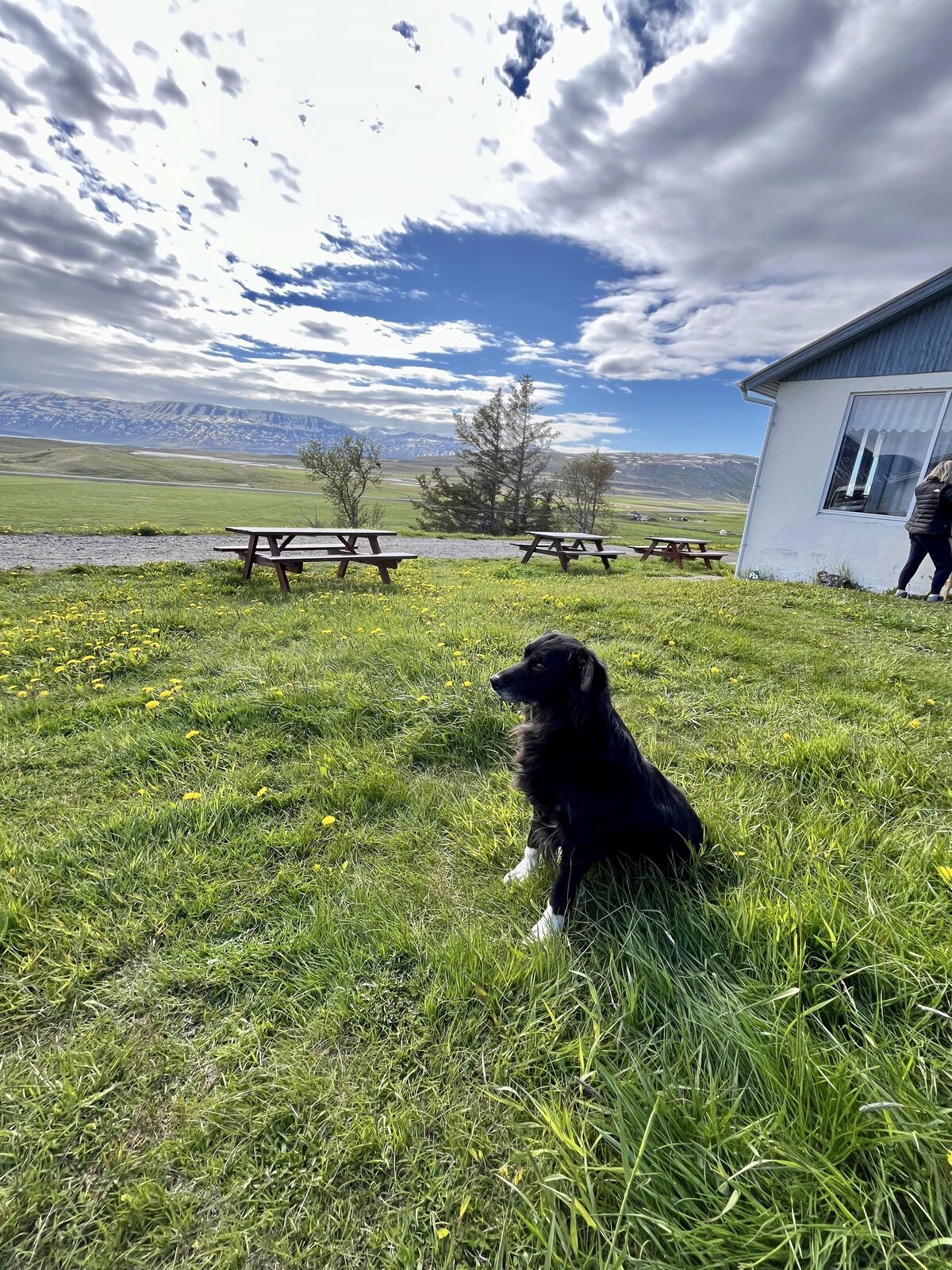 Iceland yoga retreat