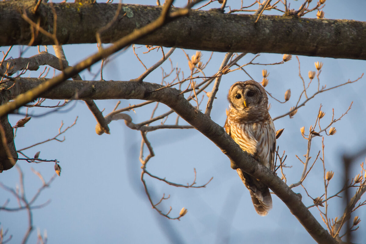 DSC_6379ed_web