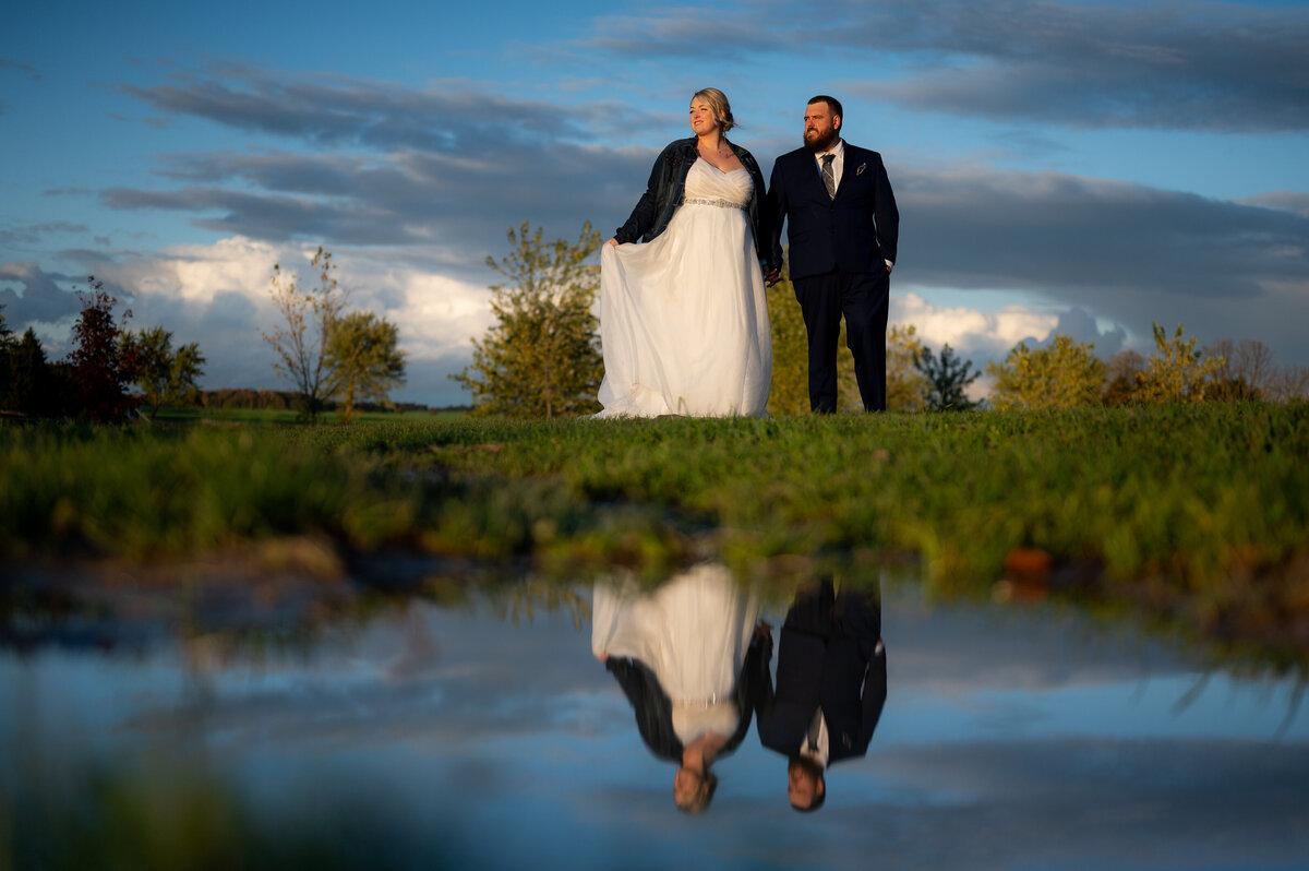 A bride and groom pose in the evening light holding hand with their reflection in a puddle at a farm wedding in Mapleton, Ontario at Mapleton's Organic Dairy.