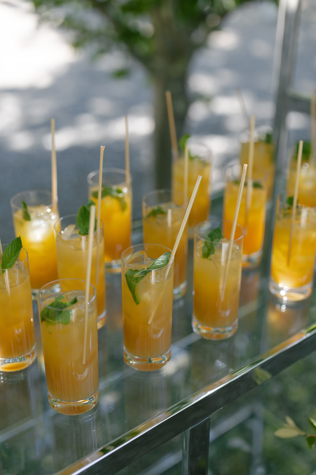 Beaulieu-gardens-wedding-Elizabeth-Warrick-Roque-Events-22