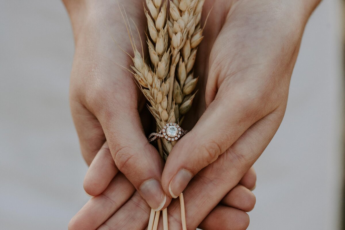 The bride is holding a bundle of wheat threaded through her wedding ring at a rustic barn wedding in Exeter, Ontario.