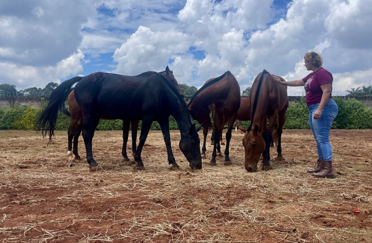 Leadership & life coach supporting change-makers to transform their lives through self-connection. Horse-led session with a herd of horses in liberty in Kenya