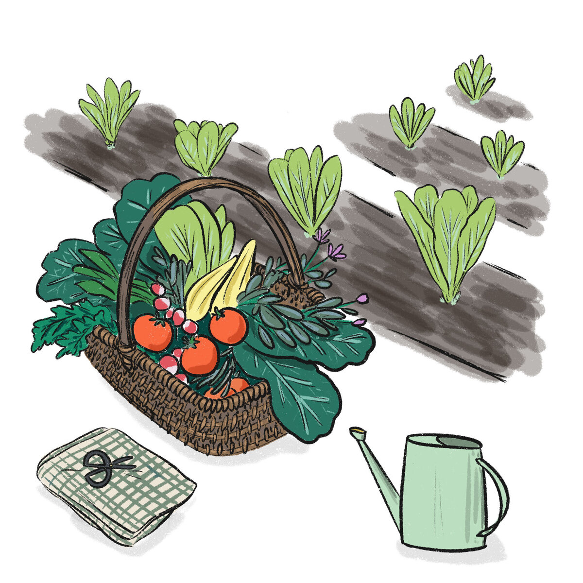 SkyeMcNeill-Annies-General-Gardening_web