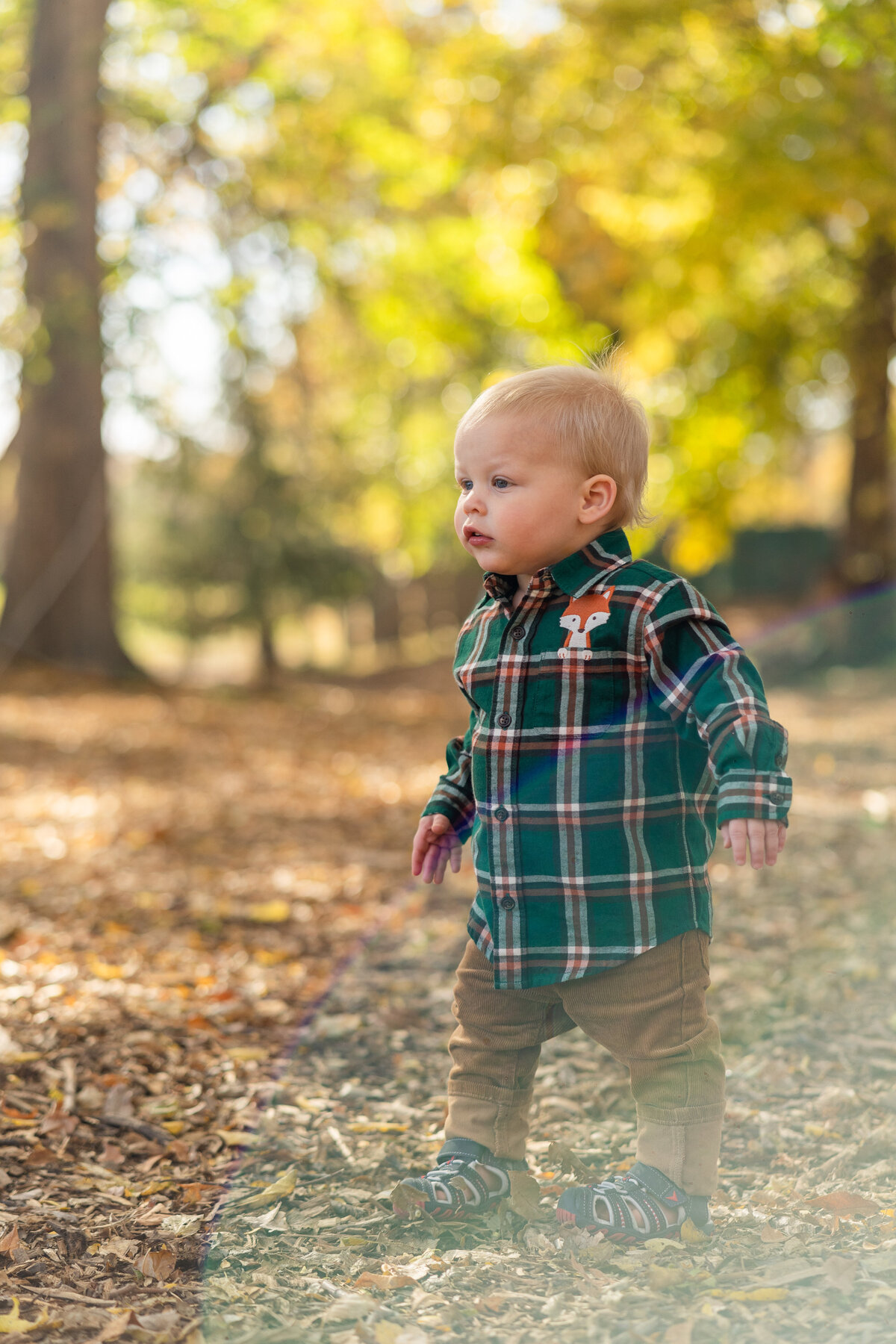 Leo fall photos (39 of 95)