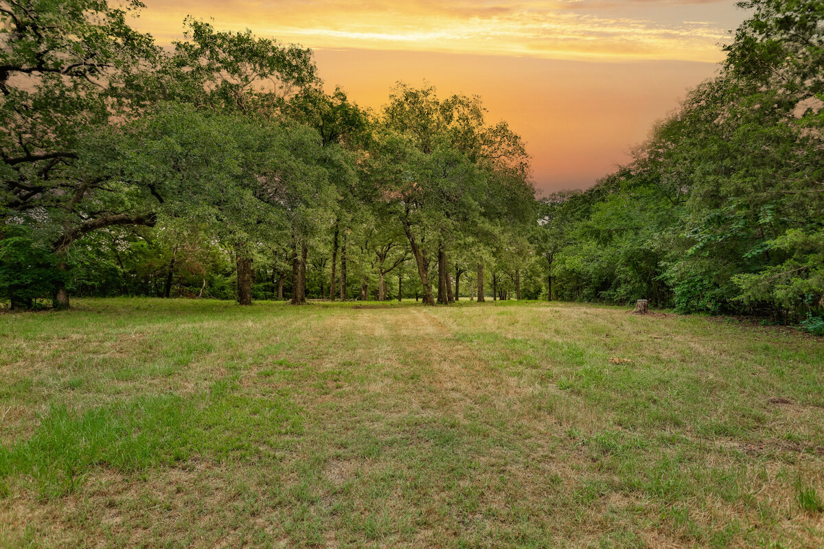 Wide open pasture perfect for livestock or wildlife watching