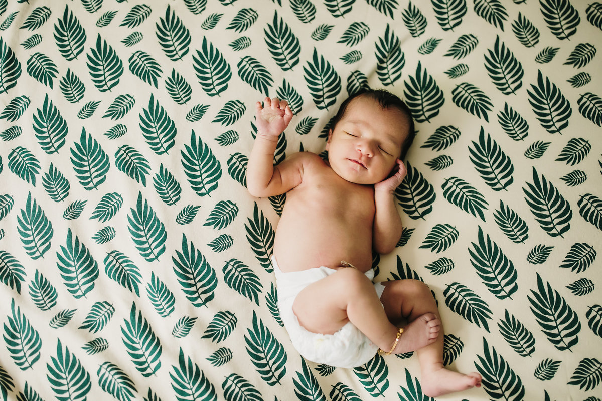 Ashley Kaplan Photography San Francisco Bay Area Family Newborn Maternity Photographer-5