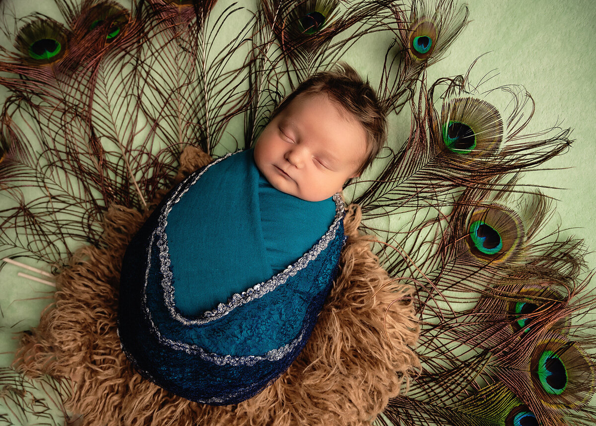Greater Toronto Photo Newborn girl  wrapped in blue surrounded by peacock feathers.
