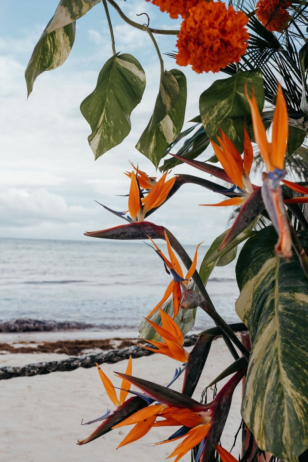 saasil-kantenah-mexico-wedding -10