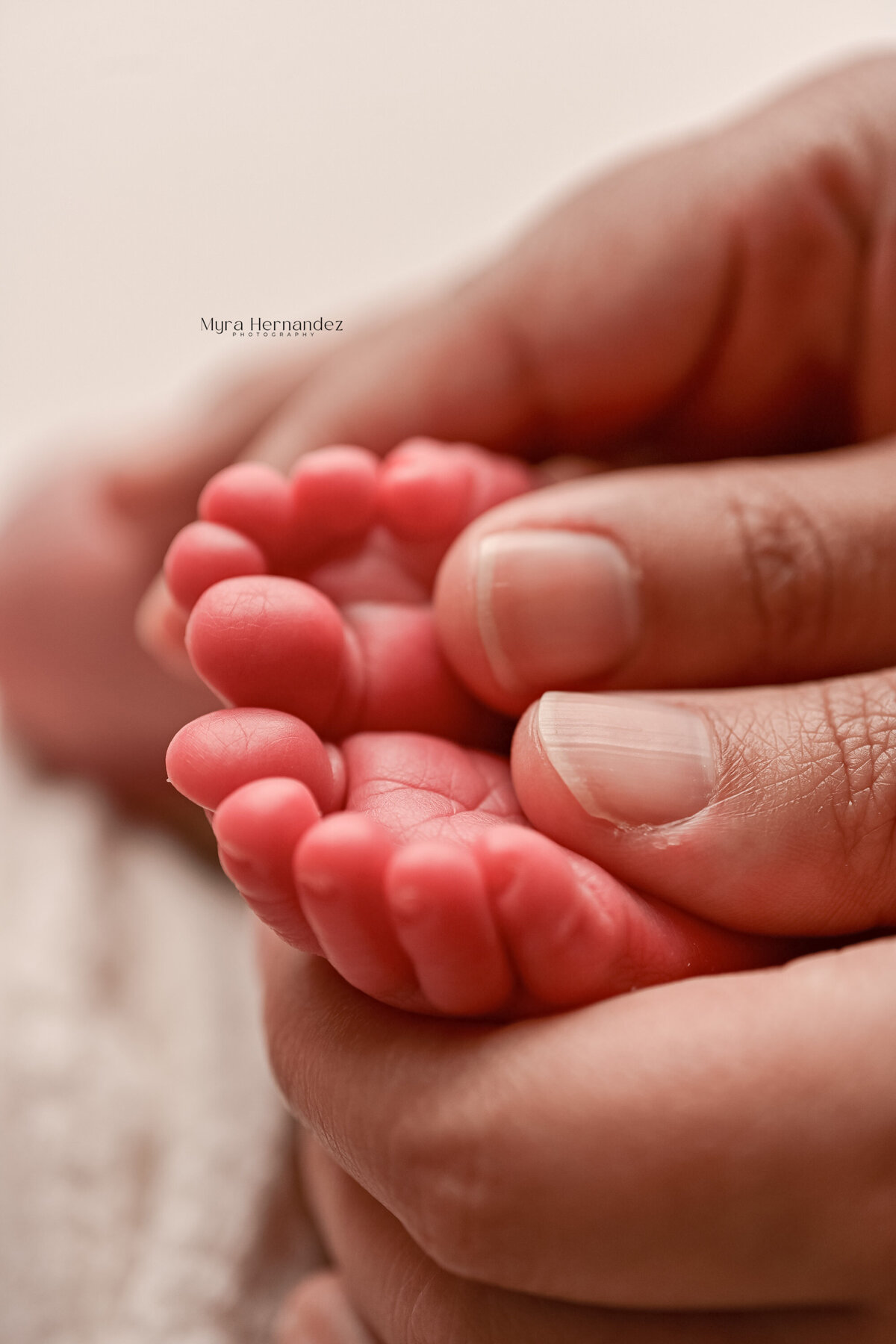 BabyEverly-78