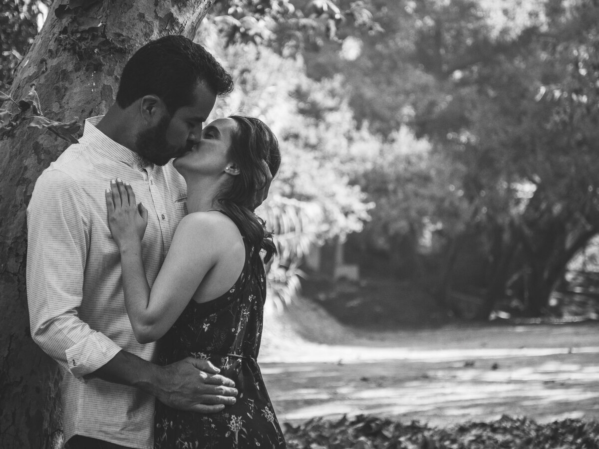 Preboda-3