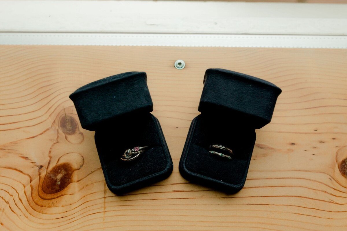 elope-in-minnesota-175