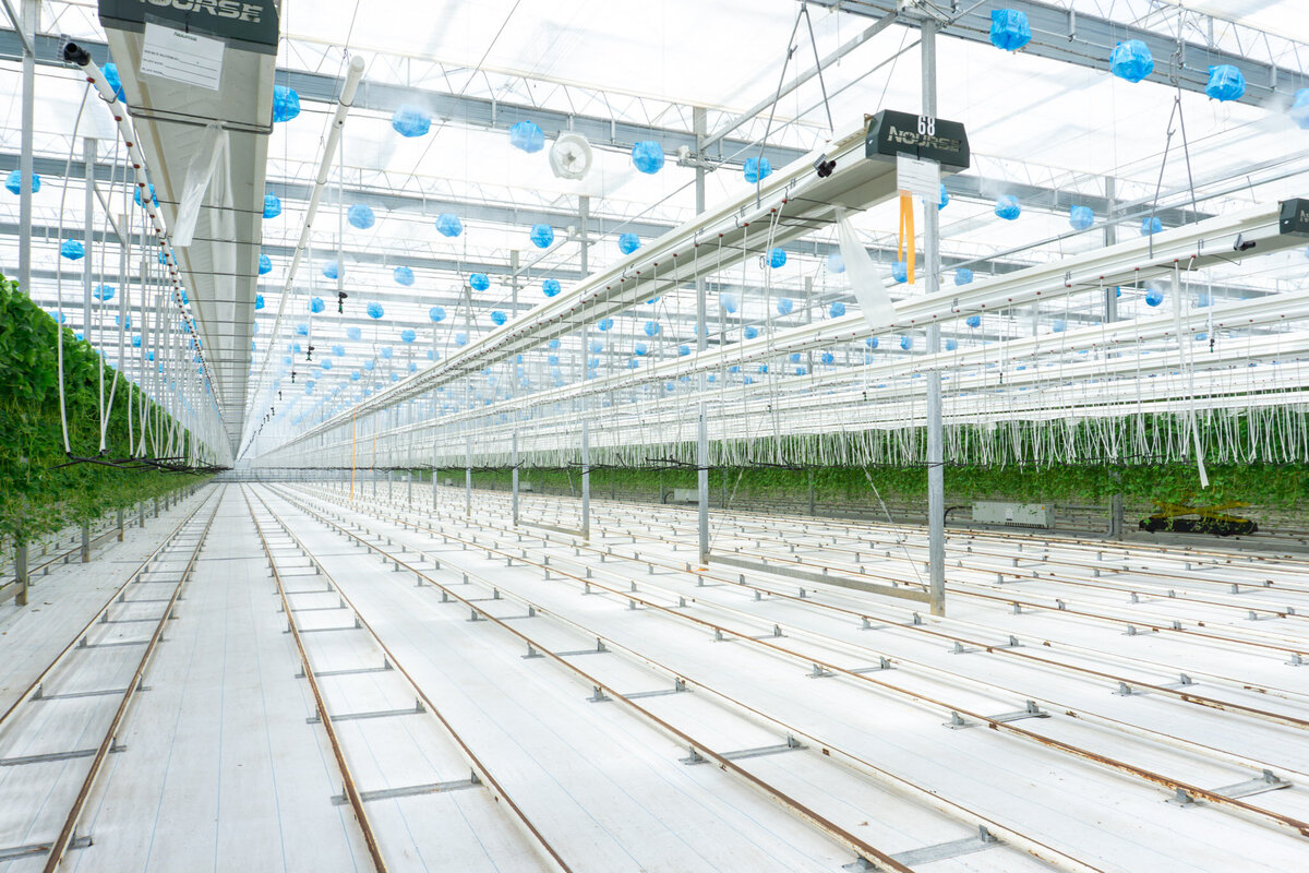 Nourse Farms Web Size-17