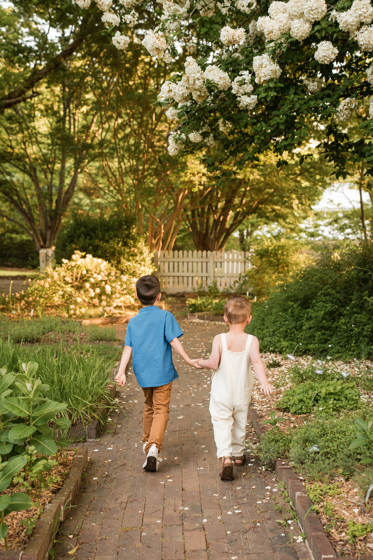 raleigh nc family photography