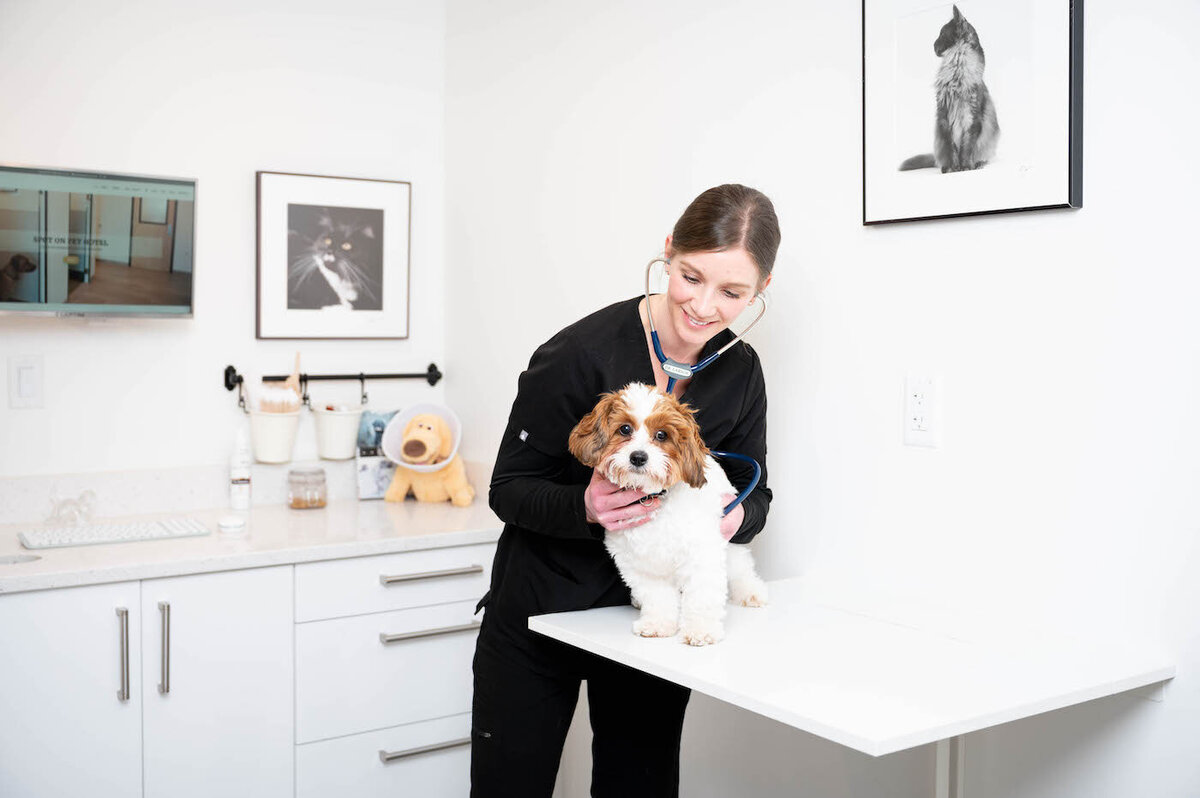 Dr. Larson with dog in exam room (2)