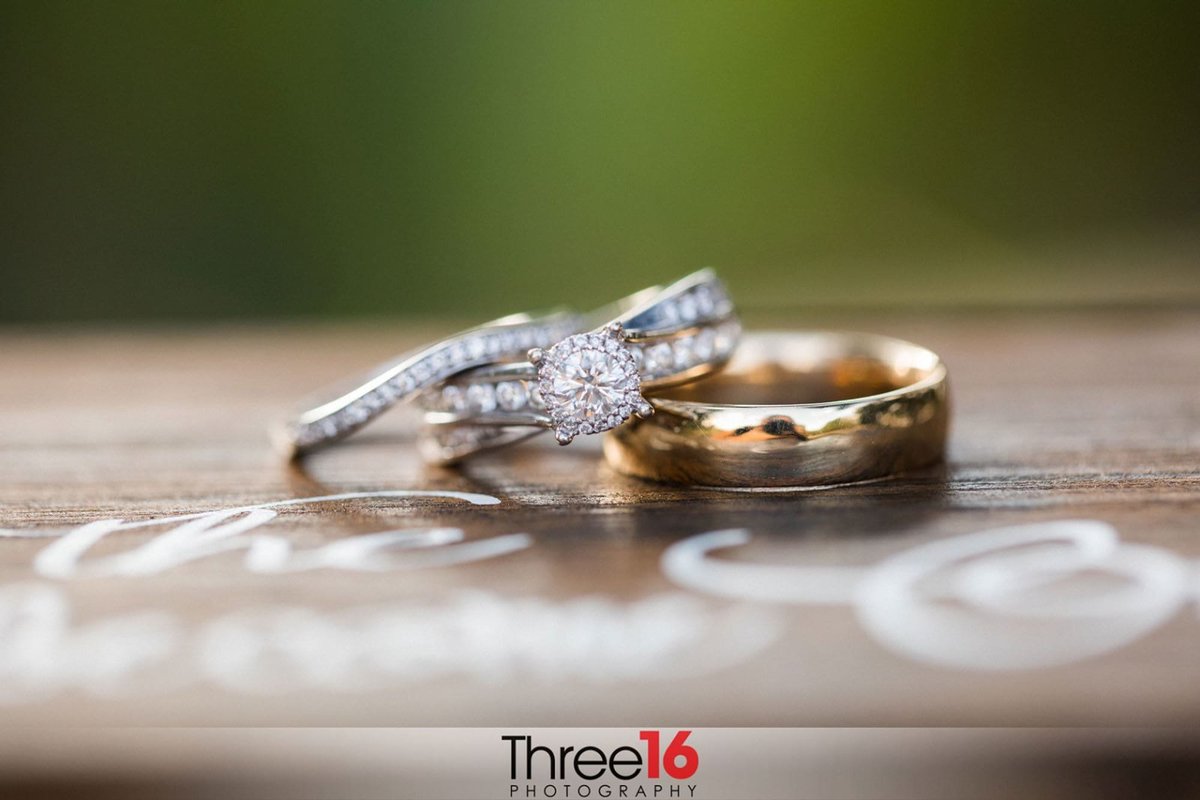 Wedding Rings on Display