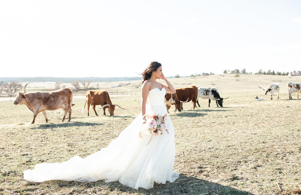 wedding at younger ranch