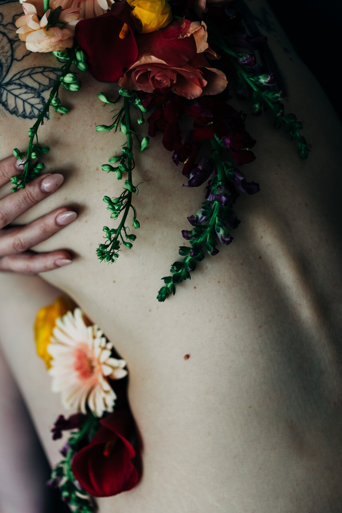 flowers-913