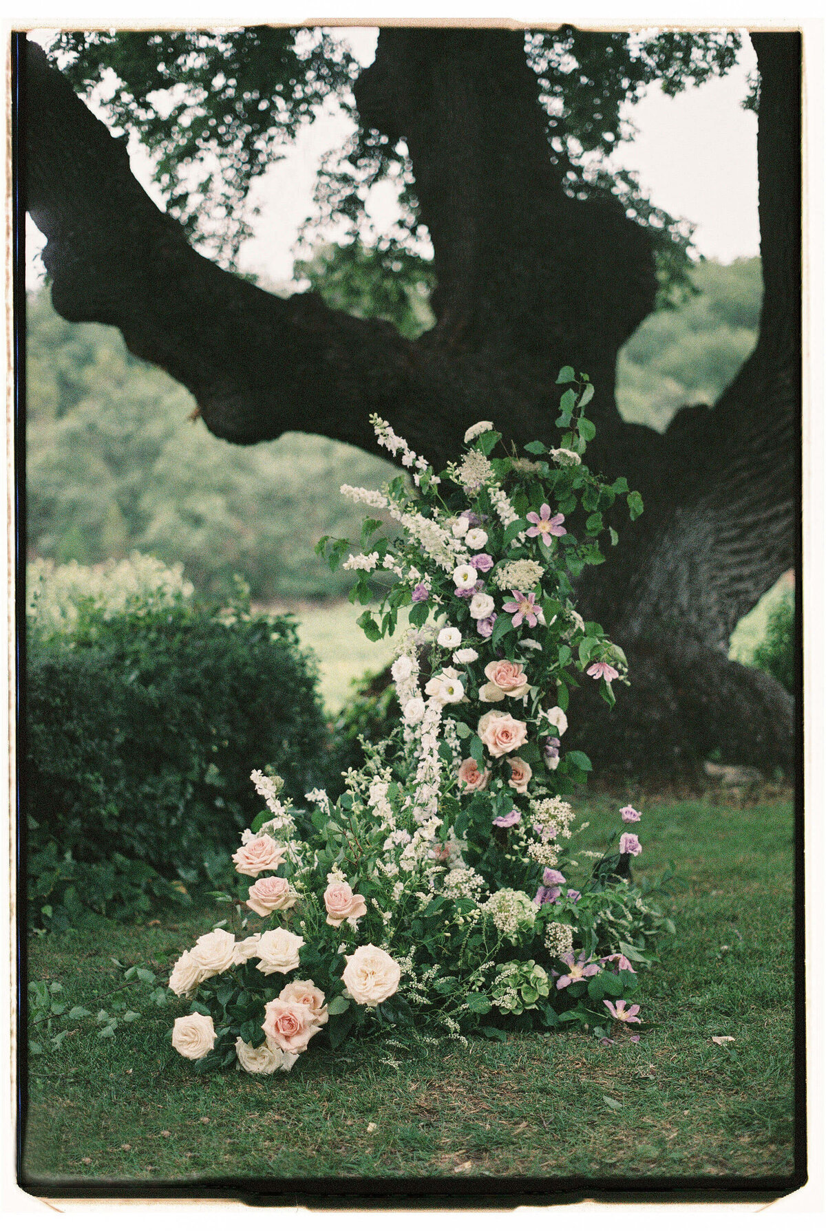 Provence wedding photographer