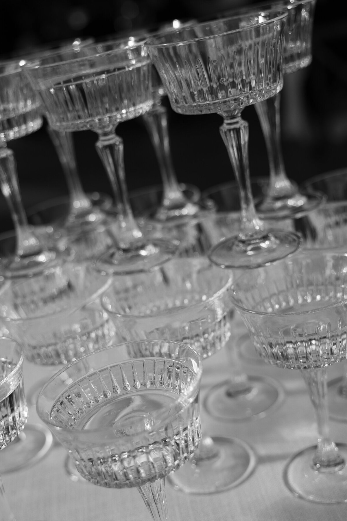 RevelWoodsPhoto-ForsmanPreviews-8843