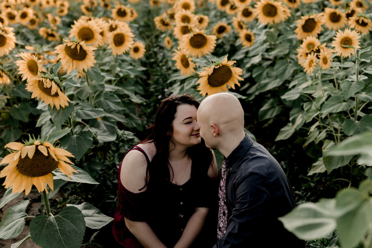 Engagement session in the sunflower field0008