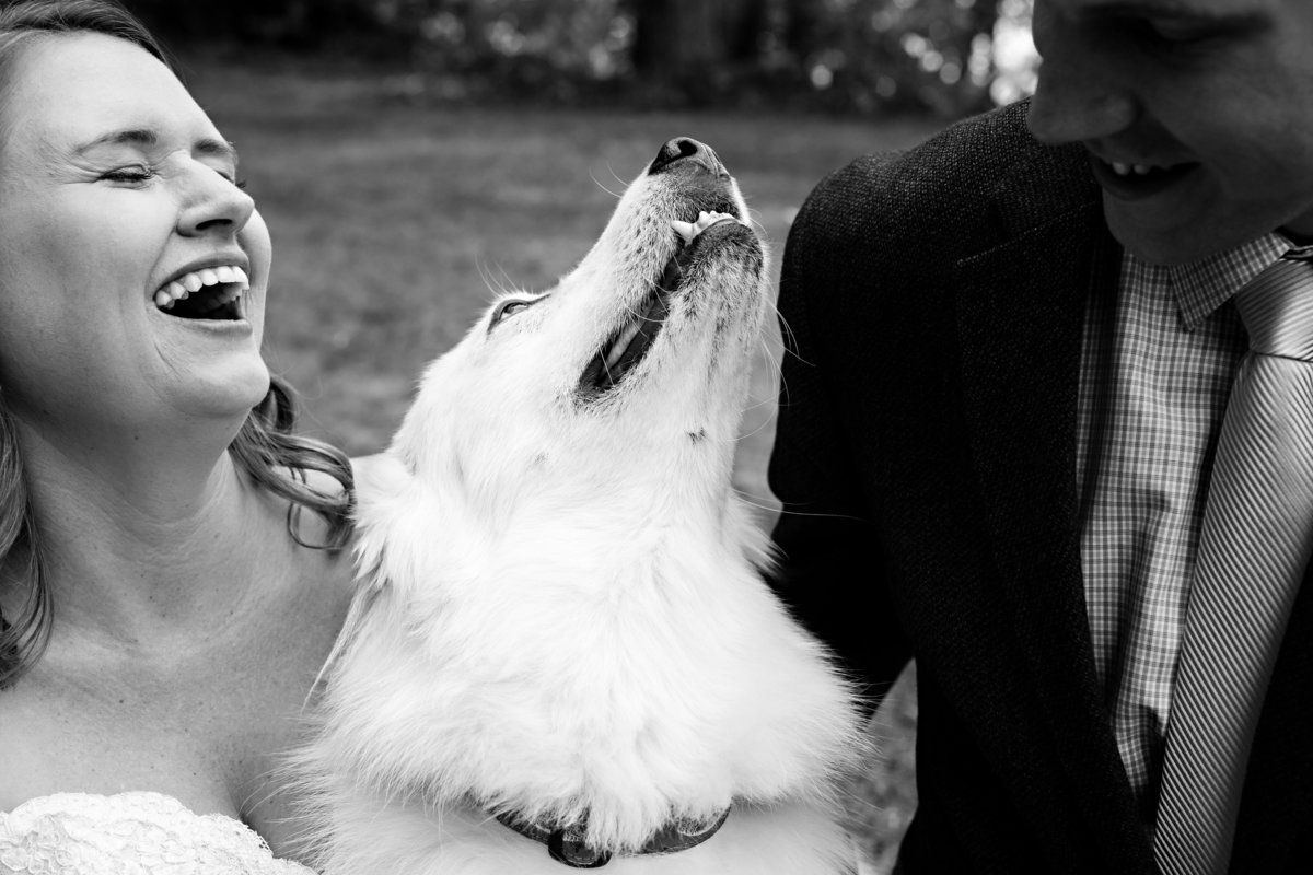 The newly eloped couple share a laugh with their dog at Wolf Cove Inn in Maine