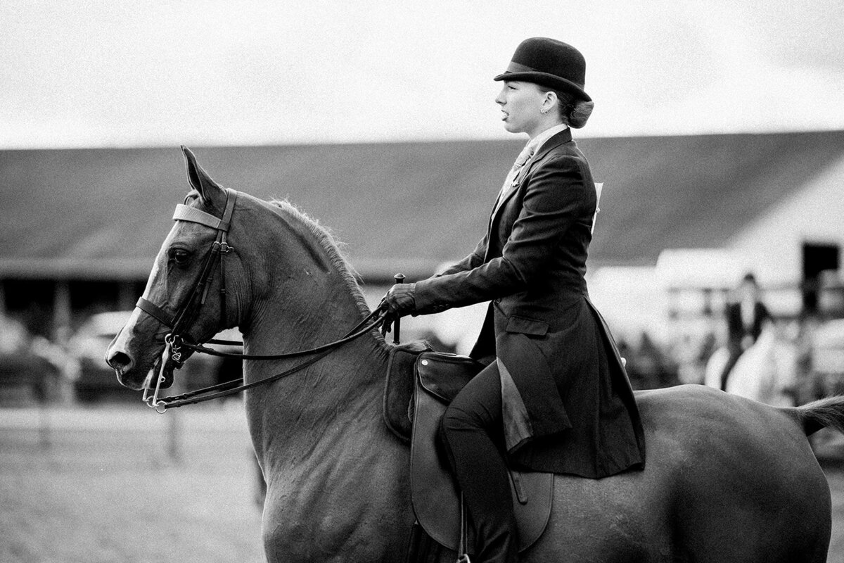 Equestrian Photography505