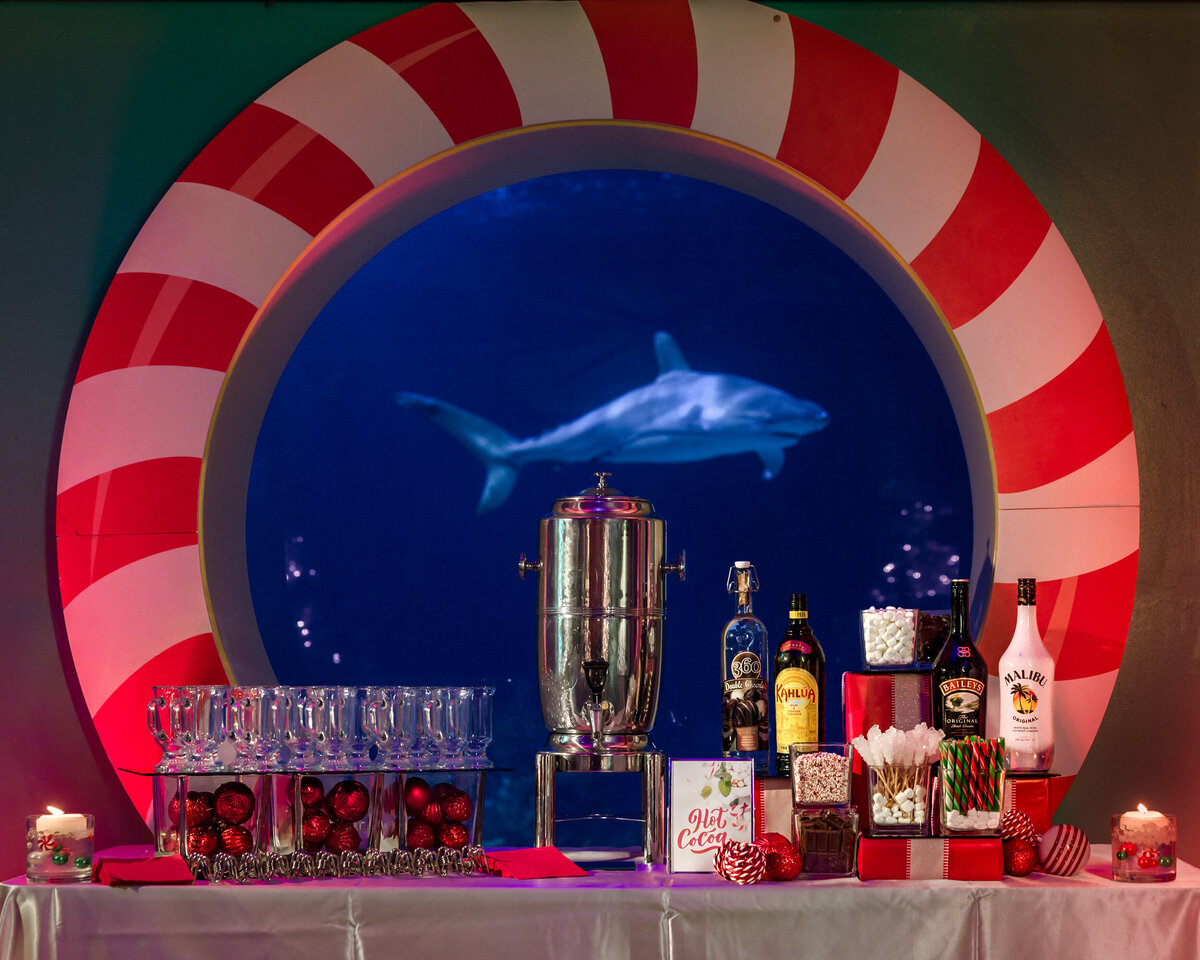 FoxBrazen_AAQHoliday2024_1935a