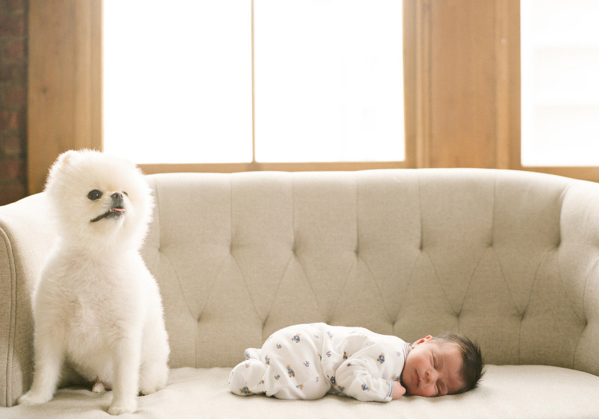 Daniel-NYC-Newborn-Session-Lindsay-Madden-Photography-40