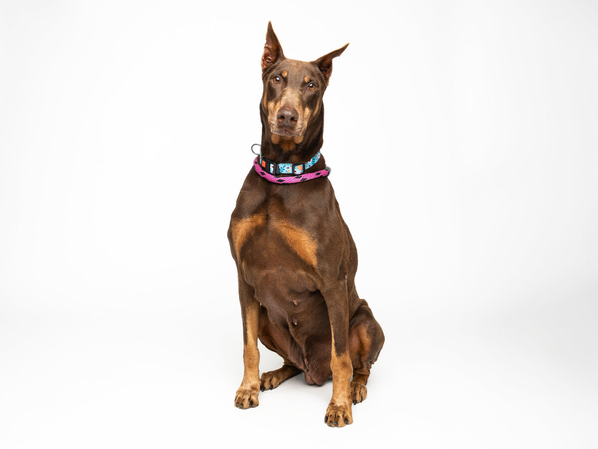 Website3500-DSC01824