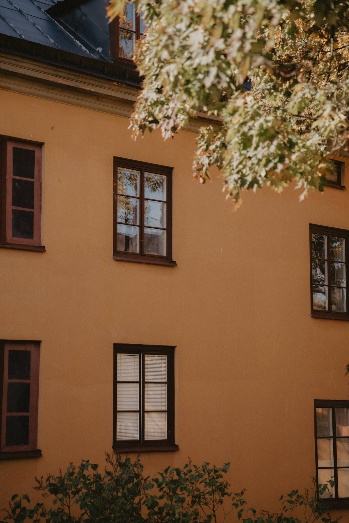 ElinJoakim-12okt2024-71