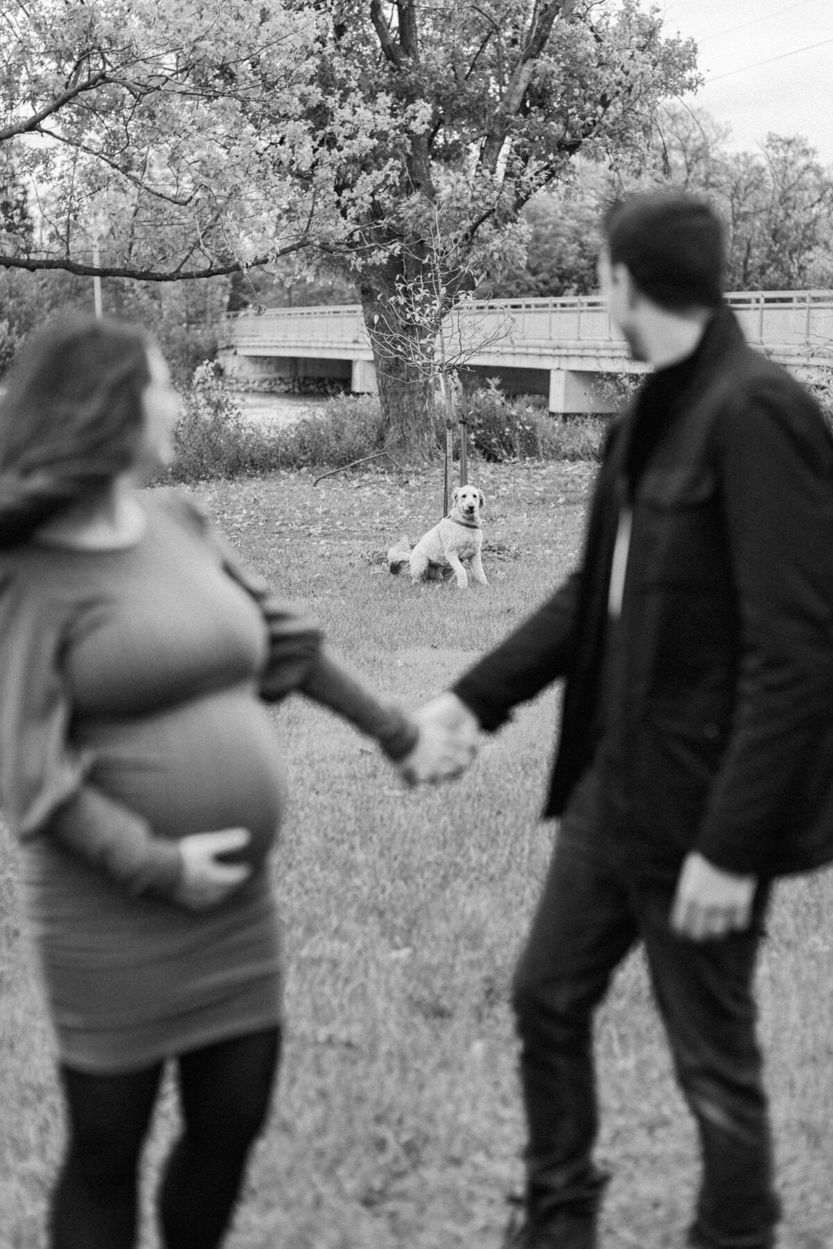 DmgImagery-3233