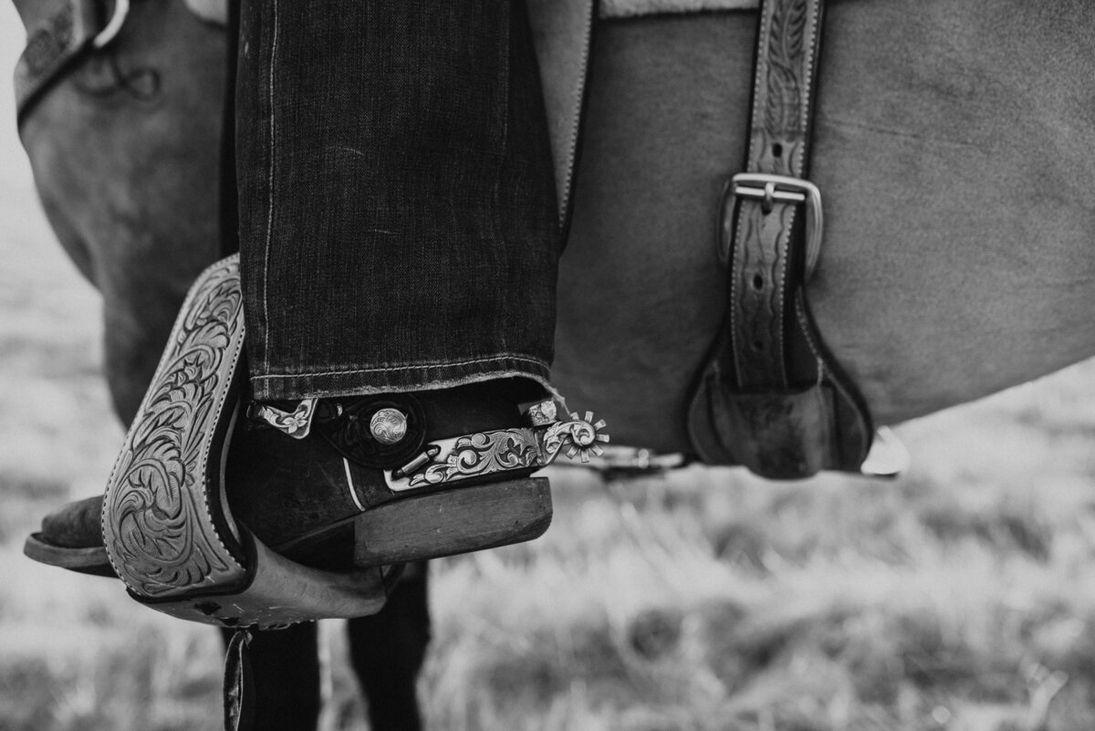 black and white image boot in stirrup