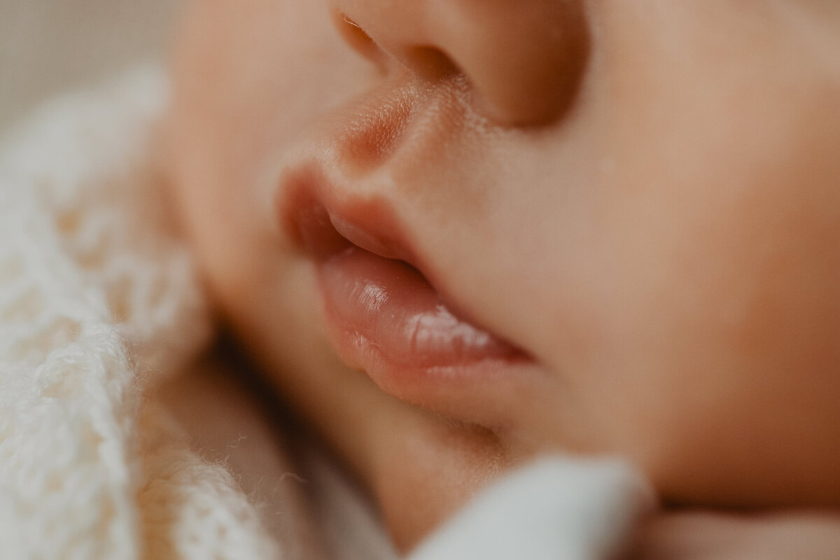 lauren-gray-sydney-newborn-photographer-230801-0107