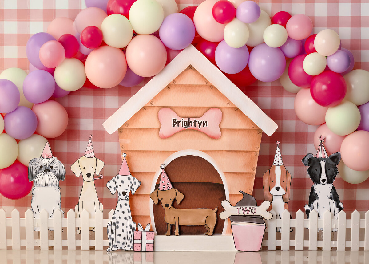 Pawty