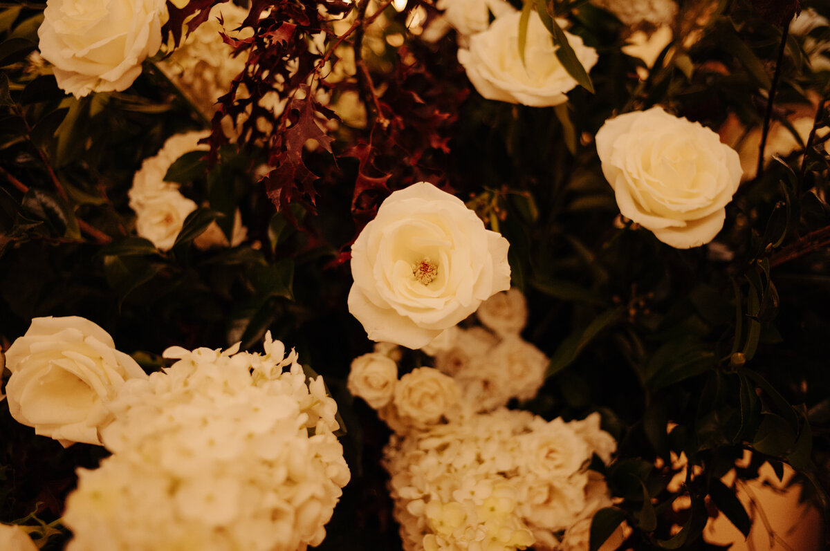 Eleanor_Elizabeth_006