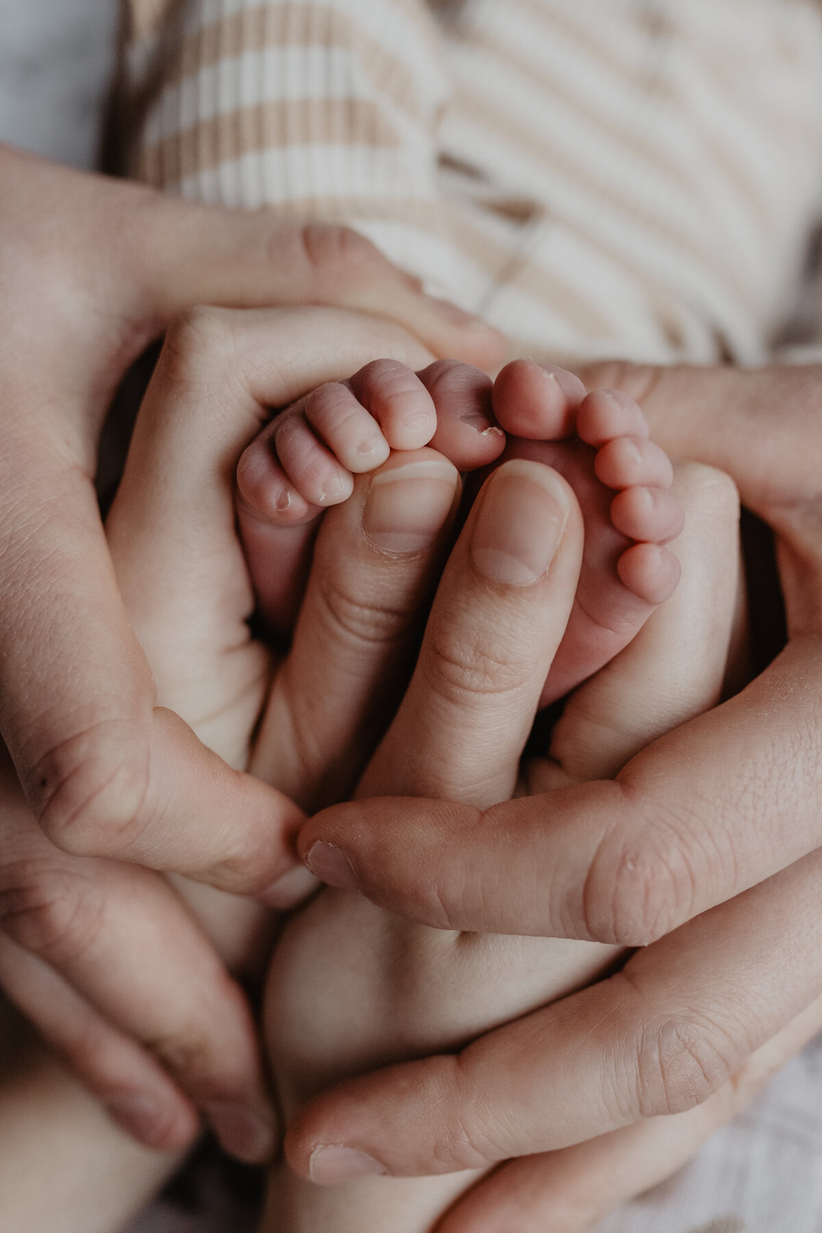 Newbornshoot fotograaf Noord-Holland